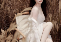 上海419魔都花园(魔都花园的夜色魅影)